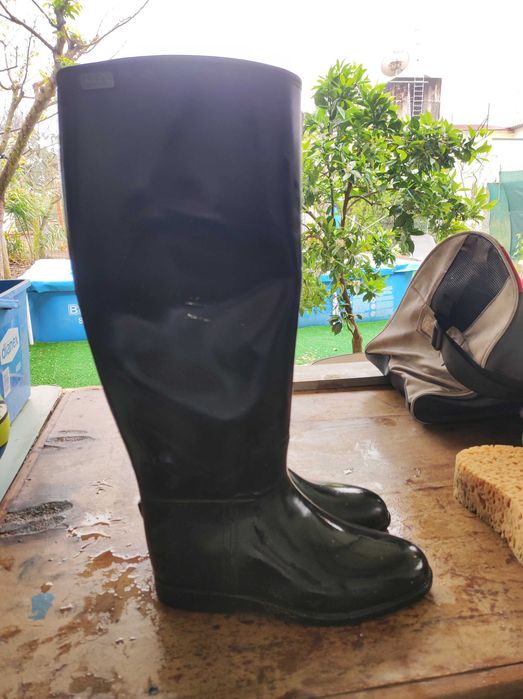 Botim de hipismo de borracha