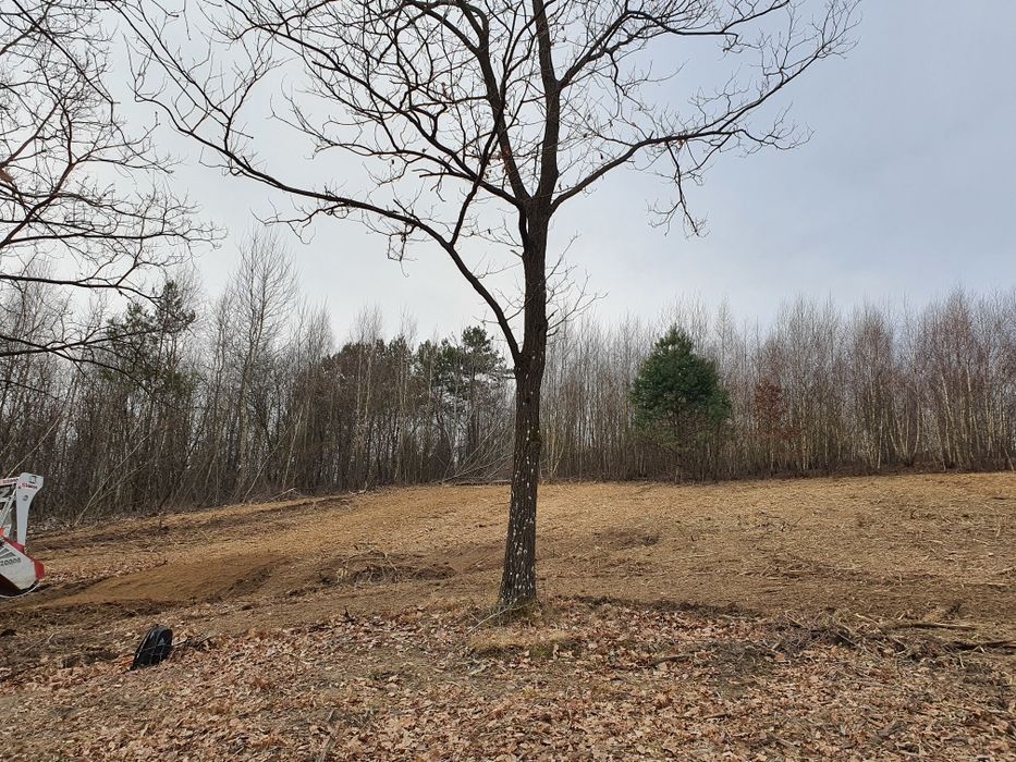 Koszenie kosiarką bijakową, Wycinka drzew, koszenie trawy