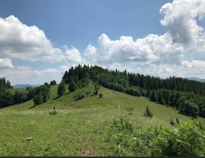 Велика земельна ділянка з старим будинком