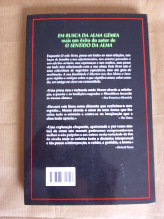 Em Busca da Alma Gémea de Thomas Moore
