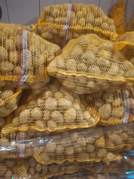 Ziemniaki drobne jadalne paszowe