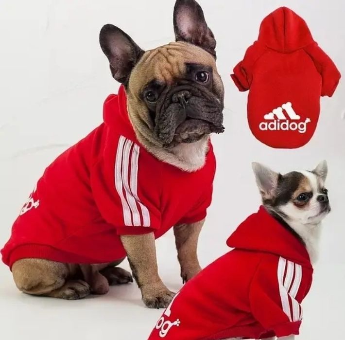 Одяг на собак і котів