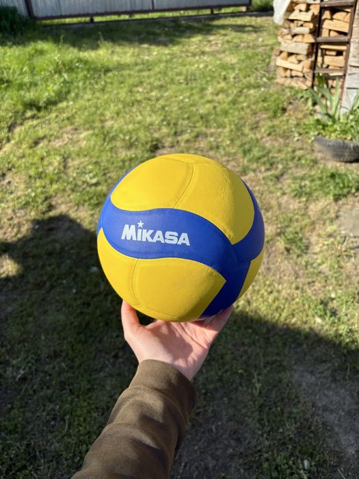 Мяч волейбольний