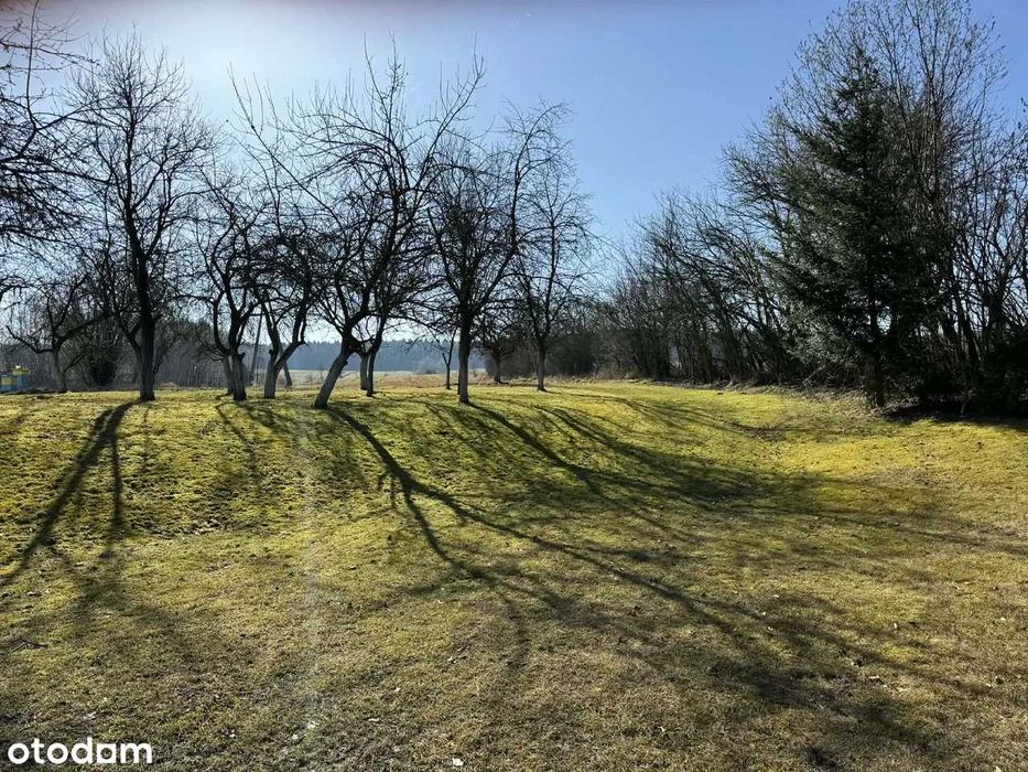 Działka rolno-budowlana, media, dostęp do LASU, blisko JEZIORO, JURA KRAKOWSKO-CZĘSTOCHOWSKA