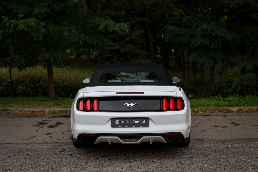 Wypożyczalnia aut cabrio wynajem Ford Mustang cabrio 317KM promocja
