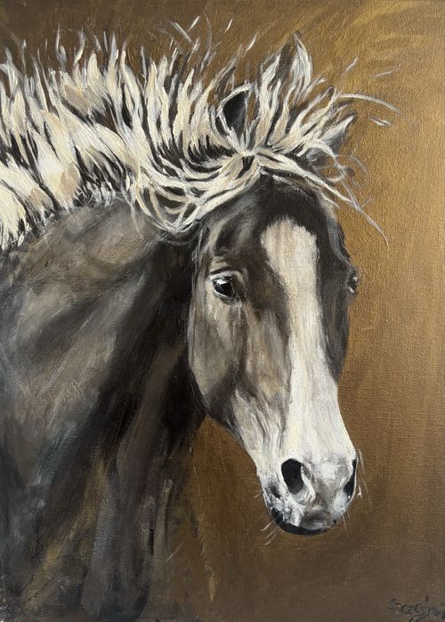 Koń obraz malartwo jezdziectwo pasja portret sztuka