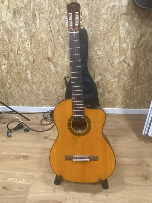 Viola Nova guitarra