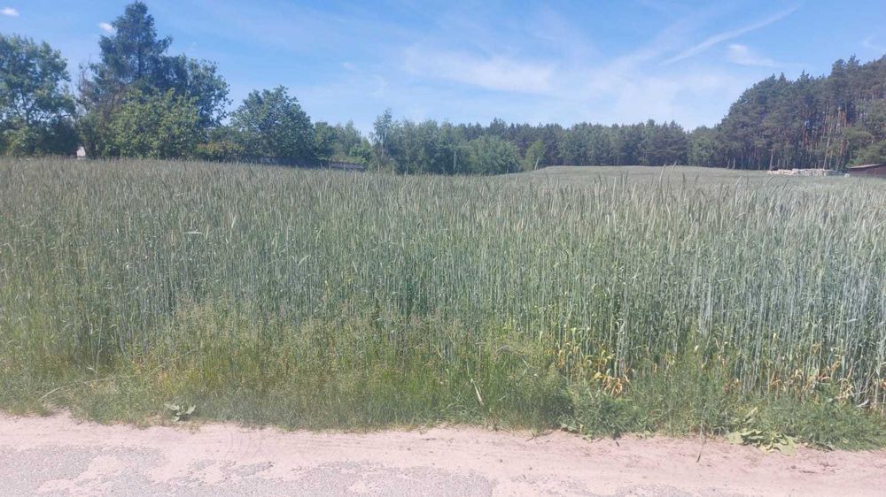 Działka na sprzedaż Mierzyce