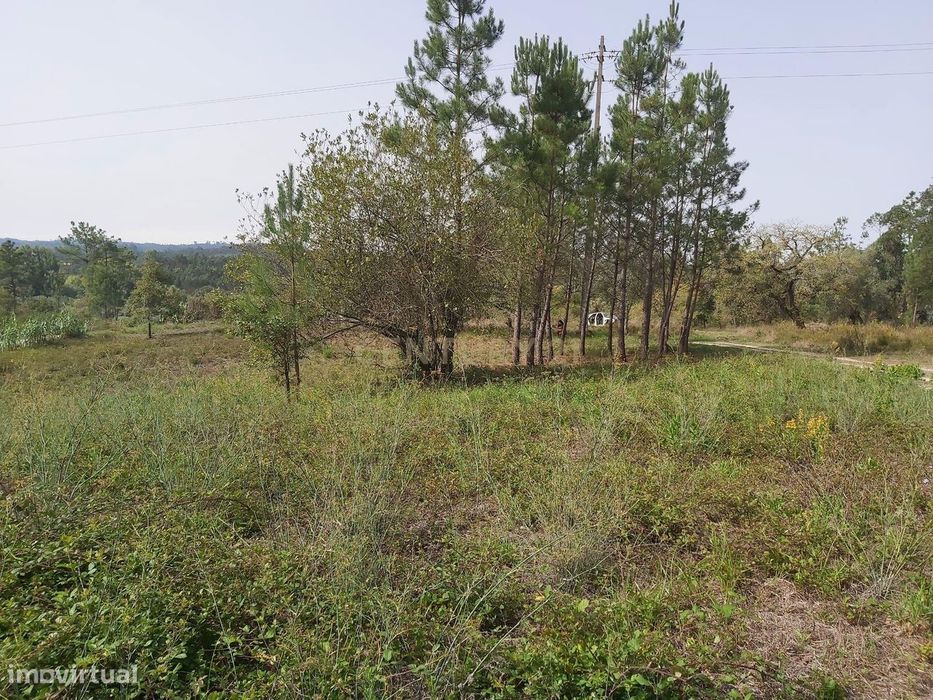 Terreno com projeto aprovado em Simões / Soure — Almagreira, Leiria