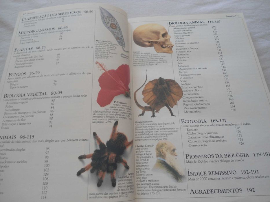 Dicionário Escolar da Natureza por David Burnie