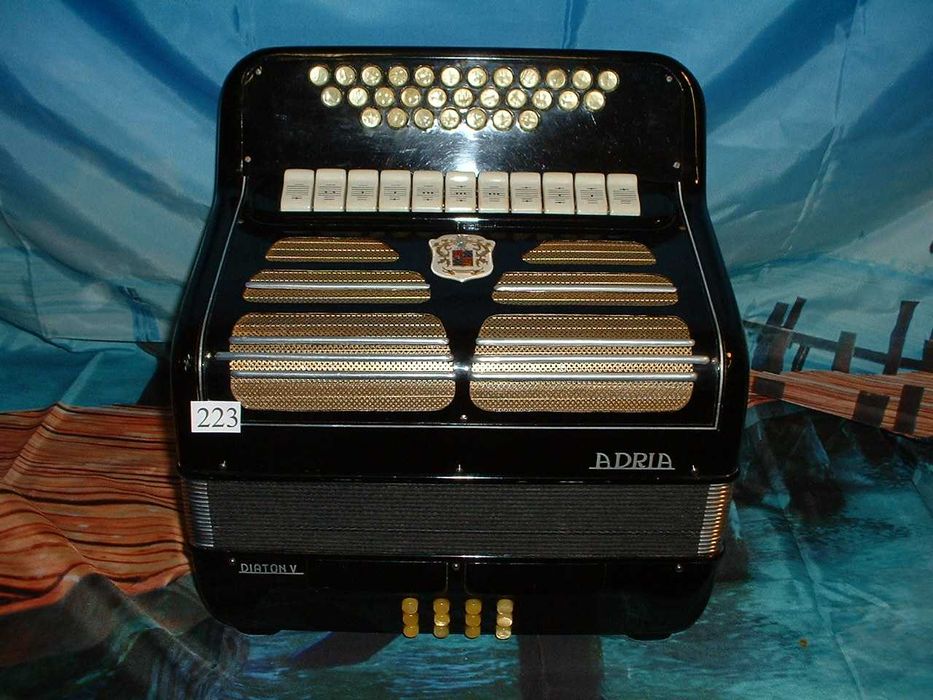 Promoção de Acordeões de concertinas