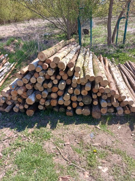 Stemple  budowlane 3m drewno opałowe
