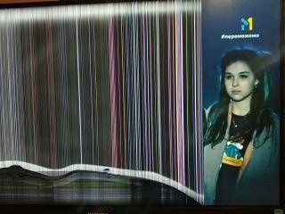 Монитор Philips24