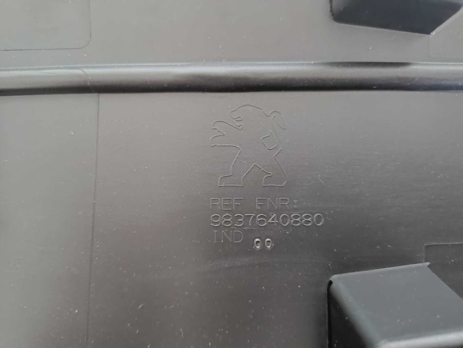 Friso Porta da frente lado esquerdo - Peugeot 2008 II  128018