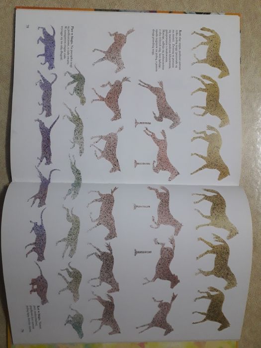 Książka edukacyjna