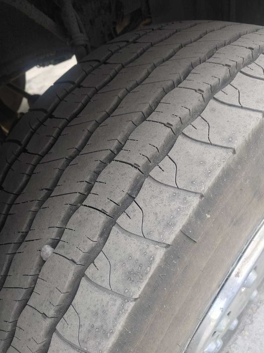 Scania R560 z HDS i przyczepą do drewna