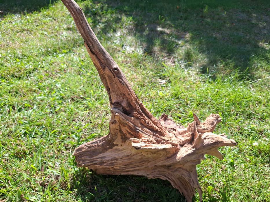 Korzeń do terrarium, akwarium