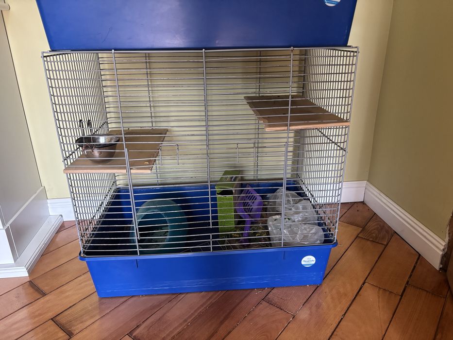 Клітка для шиншили