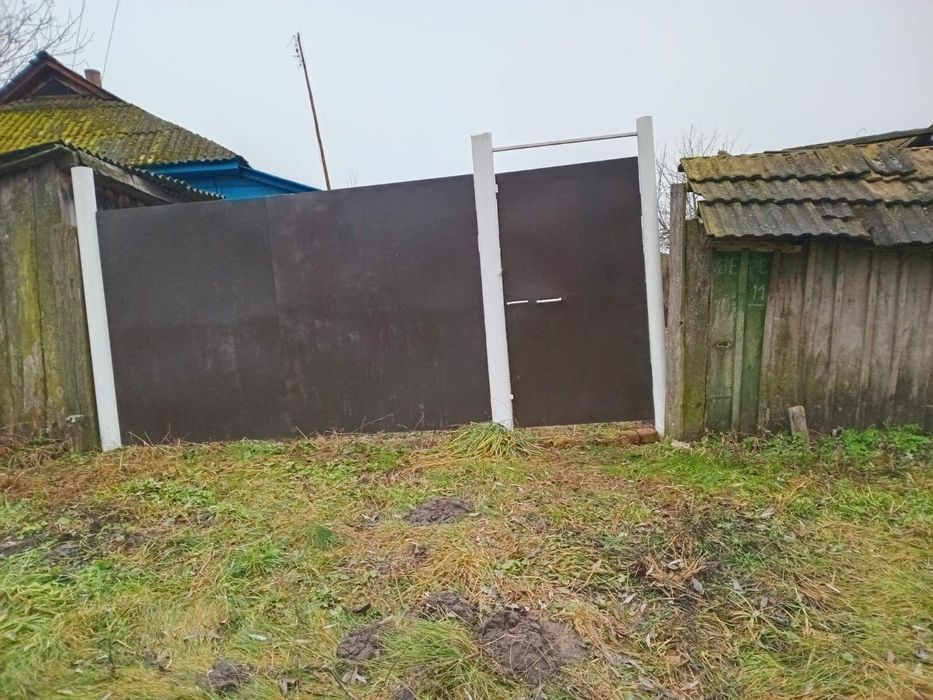 Продаж будинку у селі Друцьке