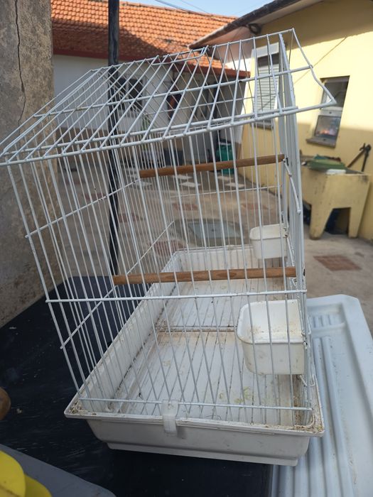 Gaiola para pássaros brancas