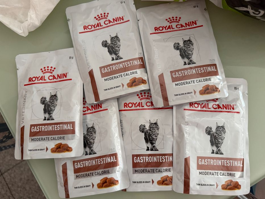 Royal canin saquetas gastrointestinal