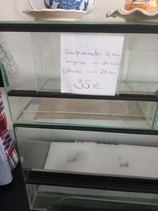 Terrário para venda