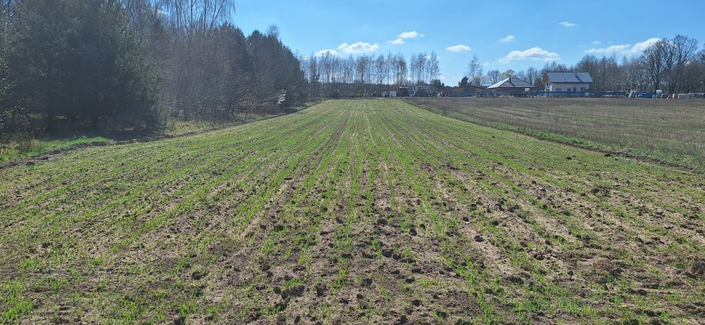 Działka budowlana Siemkowice