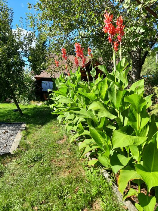 Lawenda Apartamenty Pokoje Noclegi Wisła Centrum Góry