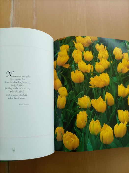 Livro "TULIPS" Coleção de fotos de Tulipas com citações em Inglês