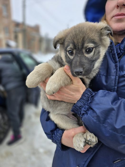 Дівчинка в добрі ручки!
