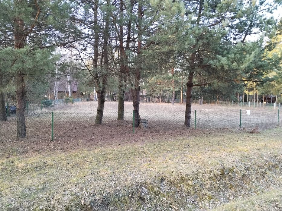 Zdjęcie 4