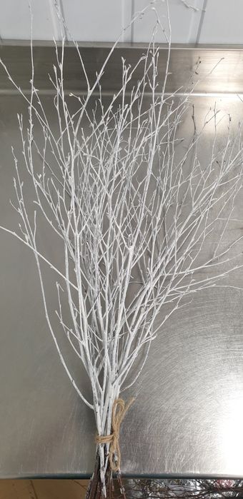 Malowane gałązki brzozy wysokości 60cm 10-12 szt