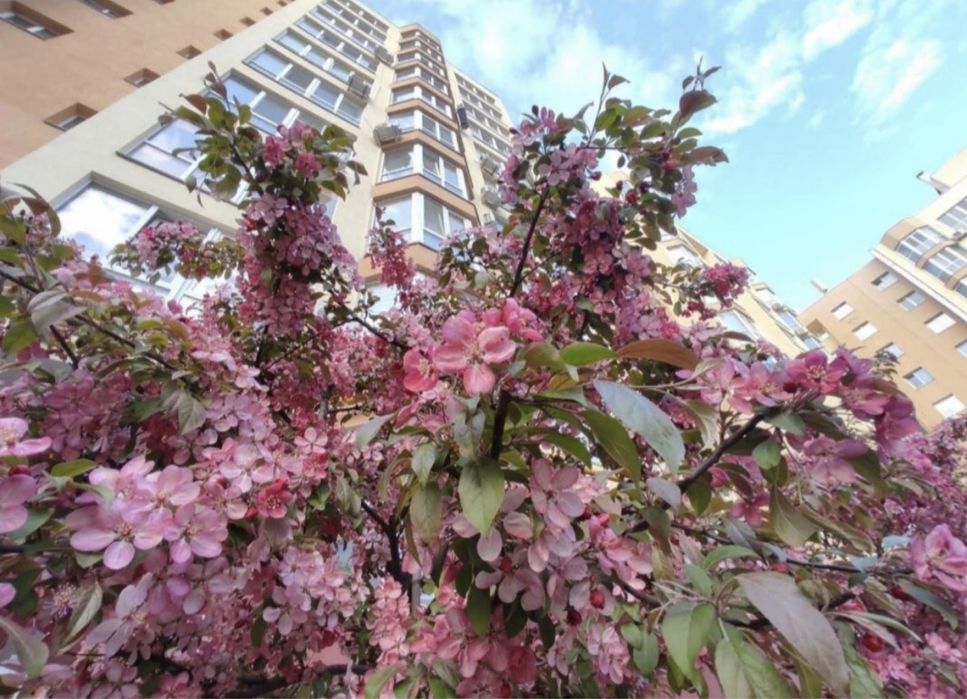 ‼️54,500$ С Ремонтом/ с Оформлением/1ком.38м2