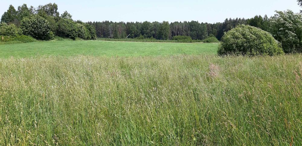 Atrakcyjna działka w otoczeniu Puszczy Białowieskiej