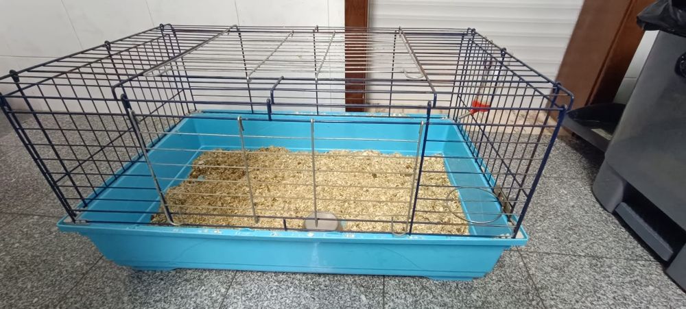 Gaiola Porquinho da india/ chinchila