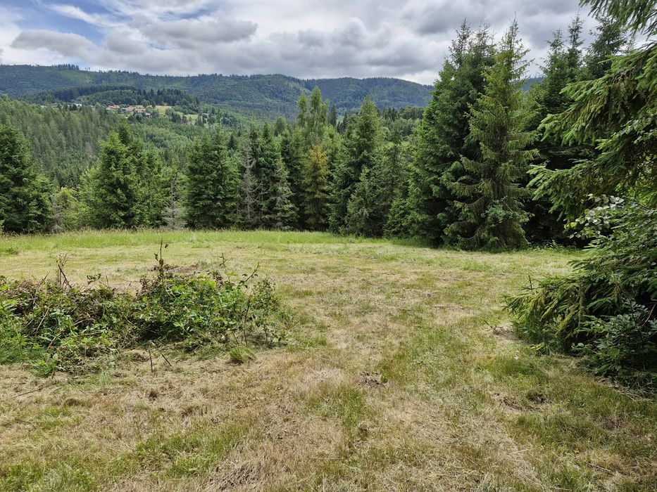 Dzialka Glinka -Smerekow Maly 30a