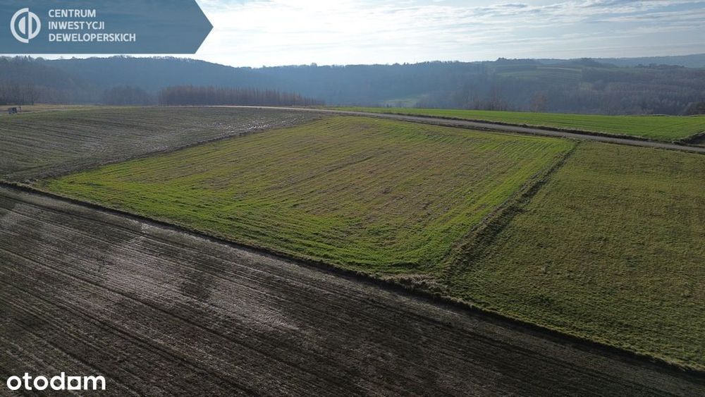 Działki budowlane z WZ – piekne widokowe
