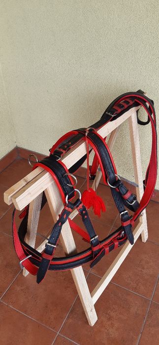 Szory  puszorek  na kucyka