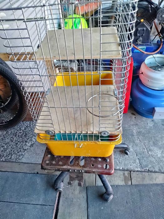 Продам велику клітку для гризунів