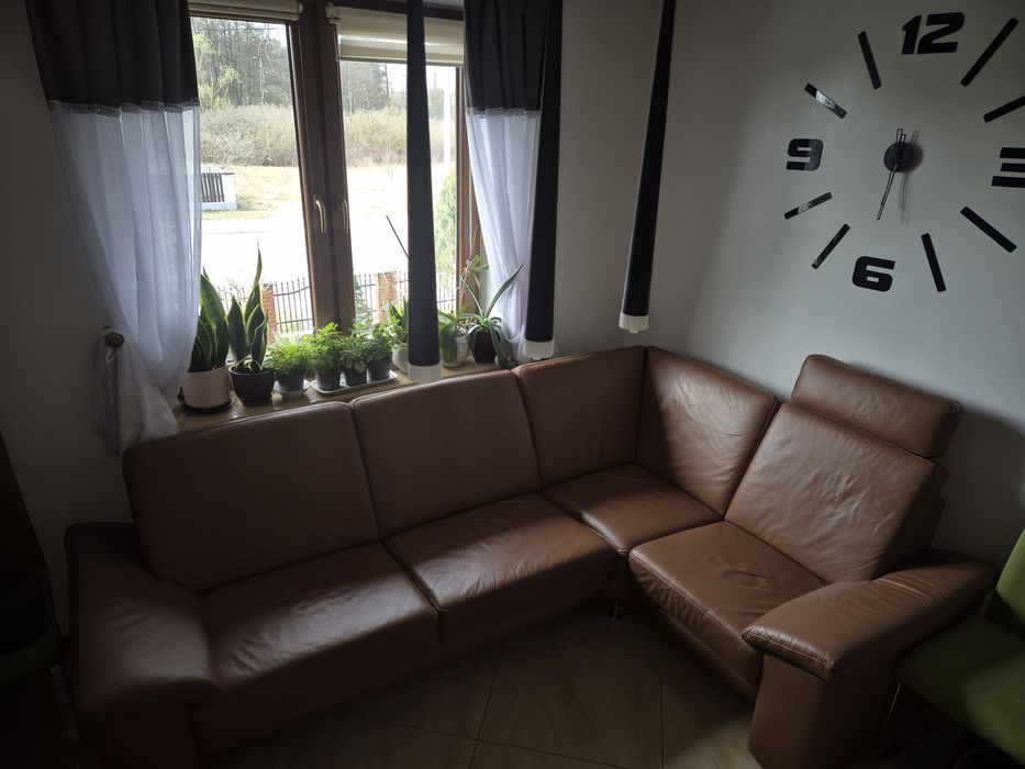 Niemiecki narożnik skóra naturalna