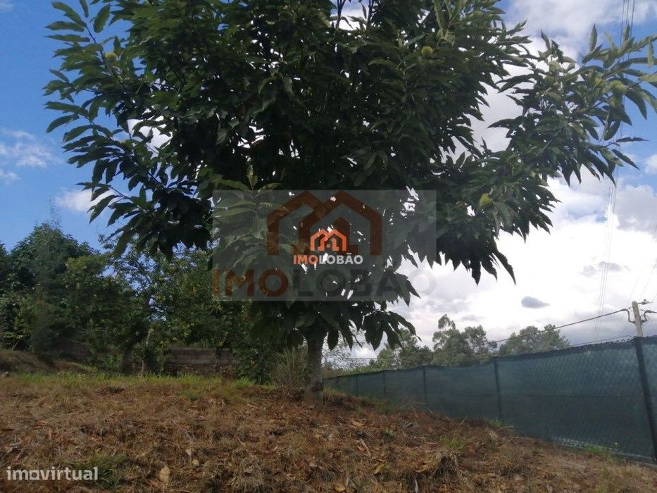 Terreno - Caldas São Jorge