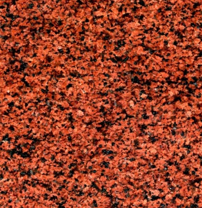 Преміальна підставка для годування собак з натурального каменю