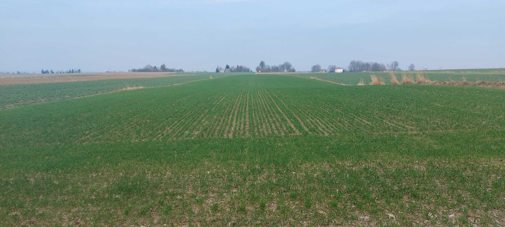 Sprzedam działkę budowlaną z gruntami rolnymi (pole, łąkę, las)