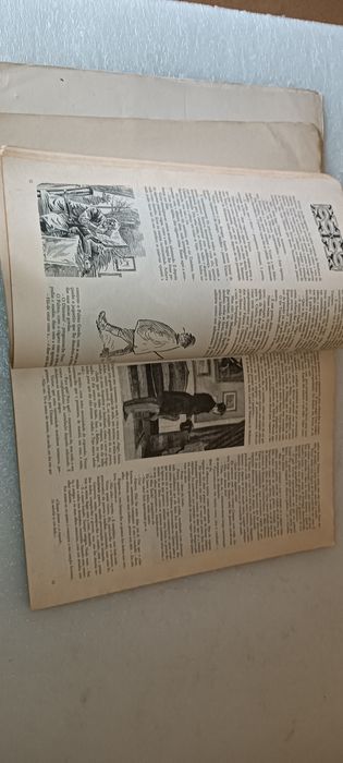 Livro antigo A tragédia da Rua das Flores – Edição ilustrada