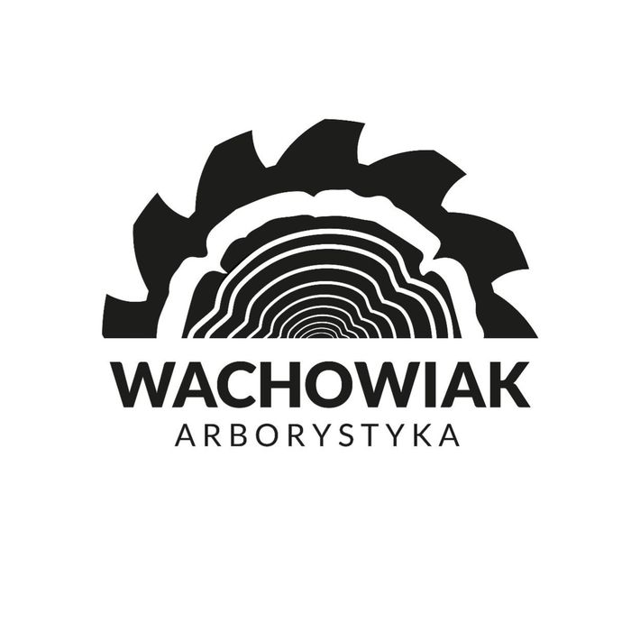 Wycinka, pielęgnacja drzew i zieleni