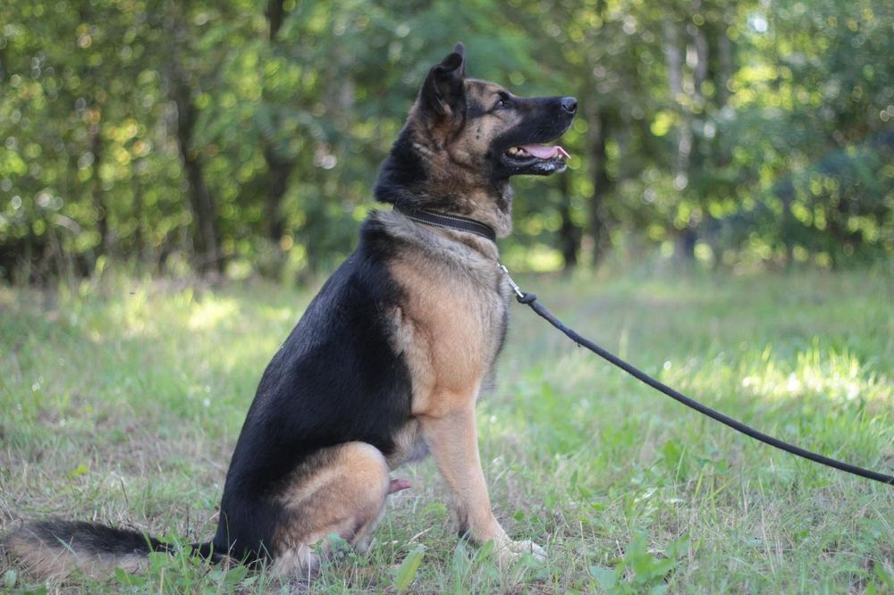 Maxym tak długo czeka, prosimy o dom