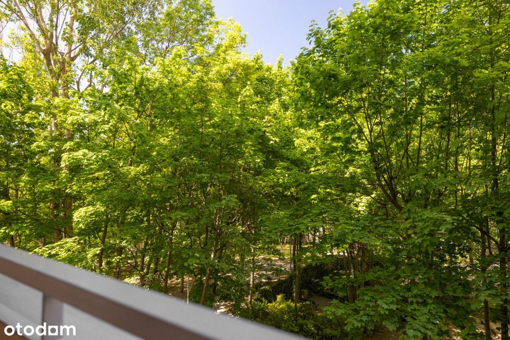 Redłowo | 2 pokoje | Hala Garażowa | Widok