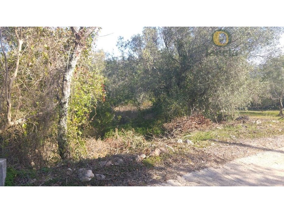 Terreno plano, com bom acesso