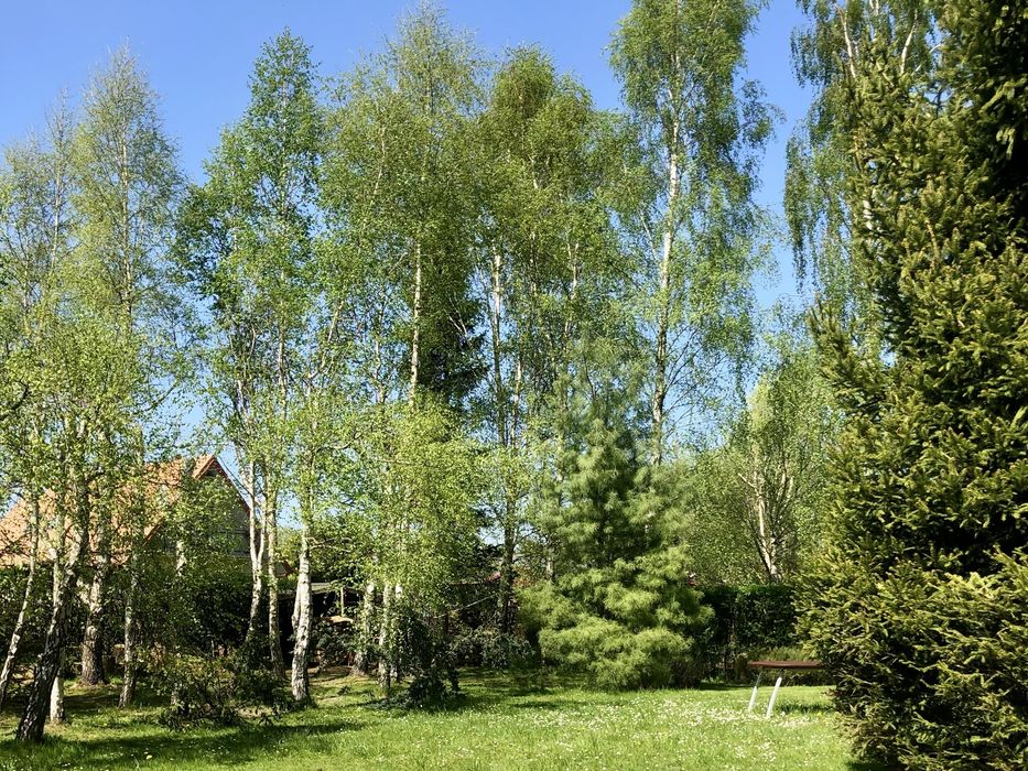 dom dla 10 osób do wynajęcia Białogóra