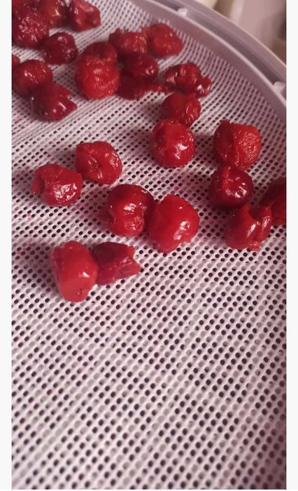 Сітка силіконова для сушарок Бєломо, Ізідрі